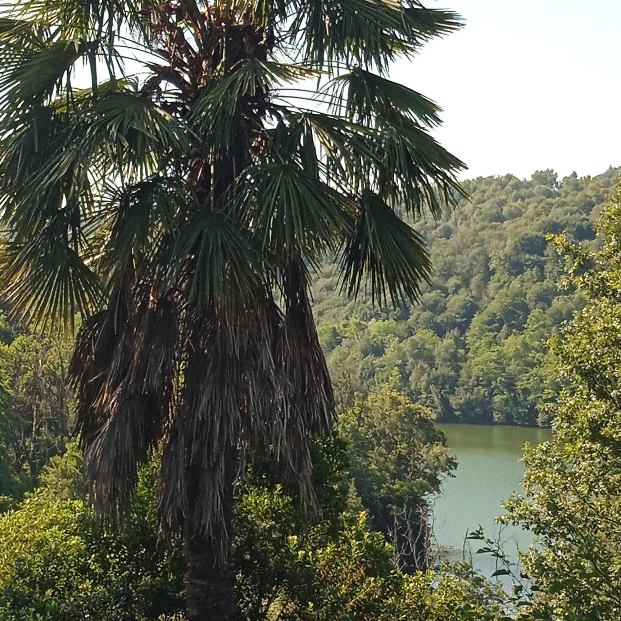 Il Canto Del Bosco Netro Экстерьер фото